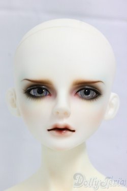 画像1: LUTS/Senior65 Delf DIEZ Limited I-25-12-14-255-KD-ZI