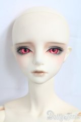 LITTLE MONICA/Enrill I-26-08-20-446-KD-ZI