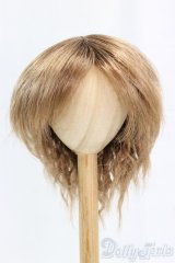 9-10inch/ウィッグ I-25-12-14-247-KD-ZI