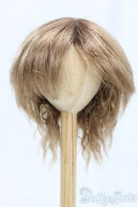 9-10inch/ウィッグ I-25-12-14-248-KD-ZI