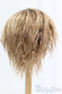 画像2: 9-10inch/ウィッグ I-25-12-14-248-KD-ZI