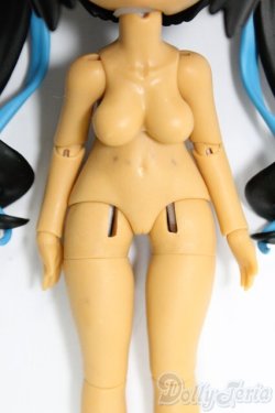 画像7: UF doll/1/12/ドレミバンド I-25-12-14-267-KD-ZI