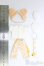 画像2: オビツ11/OF:衣装/1/12サイズ　ドール用 I-25-12-21-021-KD-ZI (2)