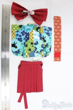 画像2: ネオブライス/OF:衣装 I-25-12-21-193-KD-ZI