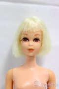 Barbie/ヴィンテージフランシー I-25-12-21-208-KD-ZI
