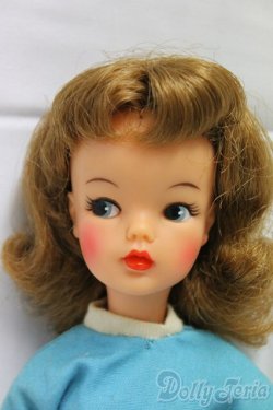 画像1: タミーちゃん/本体(BS-12)/ I-25-12-21-204-KD-ZI