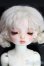 画像1: DOLLZONE/Cinnamon/BJD　球体関節人形 I-25-12-21-299-KD-ZI (1)