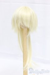 ウィッグ/7inch I-25-12-28-100-KD-ZI
