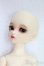 画像3: Bunny Bunny/Maple C Doll/BJD　球体関節人形 I-25-12-21-298-KD-ZI (3)