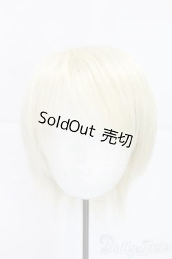 画像1: 8-9inch/ウィッグ/インチ　BJD　MJD　ドール用 I-25-12-28-285-KD-ZI