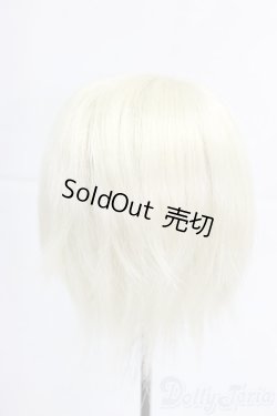 画像2: 8-9inch/ウィッグ/インチ　BJD　MJD　ドール用 I-25-12-28-285-KD-ZI