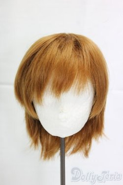 画像1: 8-9inch/ウィッグ/インチ　BJD　MJD　ドール用 I-25-12-28-284-KD-ZI