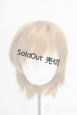 画像1: 8-9inch/ウィッグ/インチ　BJD　MJD　ドール用 I-25-12-28-284-KD-ZI