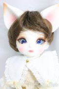DEAR MINE/BENJAMIN ~Etoile~/BJD　球体関節人形 I-25-12-28-253-KD-ZI