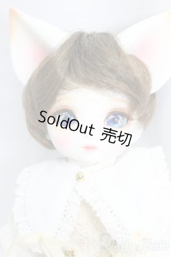 画像1: DEAR MINE/BENJAMIN ~Etoile~/BJD　球体関節人形 I-25-12-28-253-KD-ZI