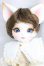 画像1: DEAR MINE/BENJAMIN ~Etoile~/BJD　球体関節人形 I-25-12-28-253-KD-ZI (1)