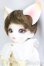 画像2: DEAR MINE/BENJAMIN ~Etoile~/BJD　球体関節人形 I-25-12-28-253-KD-ZI (2)