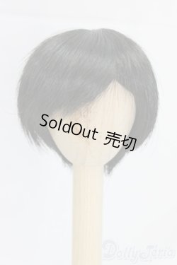 画像1: 6-6.5inch/ウィッグ/インチ　BJD　MJD　ドール用 I-26-01-04-105-KD-ZI