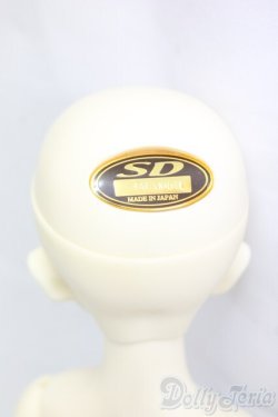 画像4: SDM女の子/コーディネートモデル白蓮/BJD　球体関節人形 I-25-12-28-257-KD-ZI