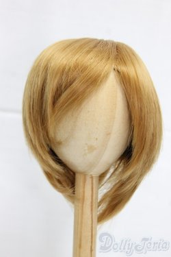 画像1: 9-10inch/ウィッグ/インチ　BJD　MJD　ドール用 I-25-12-28-293-KD-ZI