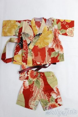 画像1: 幼SD/OF:衣装セット I-26-01-04-260-KD-ZI