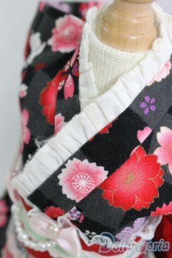 画像4: SDM＆MSD/OF:着物ドレス I-26-01-04-270-KD-ZI