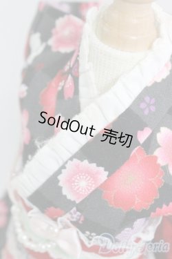 画像4: SDM＆MSD/OF:着物ドレス I-26-01-04-270-KD-ZI