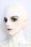 画像3: TelesthesiaDoll/上井/BJD　球体関節人形 I-25-12-28-303-KD-ZI (3)