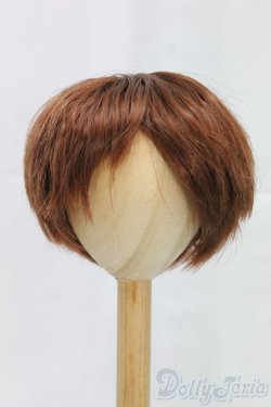 画像1: 9-10inch/ウィッグ/インチ　BJD　MJD　ドール用 I-26-01-04-151-KD-ZI