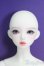 画像1: XAGADOLL/Yilia/BJD　球体関節人形 I-26-01-11-292-KD-ZI (1)