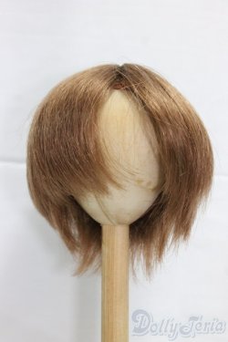 画像1: 9-10inch/ウィッグ/インチ　BJD　MJD　ドール用 I-26-01-11-053-KD-ZI