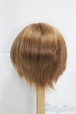 画像2: 9-10inch/ウィッグ/インチ　BJD　MJD　ドール用 I-26-01-11-053-KD-ZI