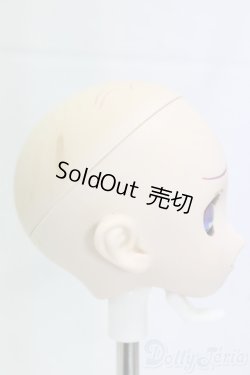 画像2: DD/ユキノヘッド/BJD　球体関節人形 I-26-01-11-248-KD-ZI