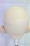 画像5: DD/初期ヘッド/BJD　球体関節人形 I-26-01-11-250-KD-ZI (5)
