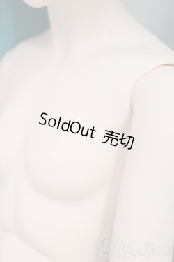 画像8: DD/初音ミク/BJD　球体関節人形 I-26-01-11-289-KD-ZI