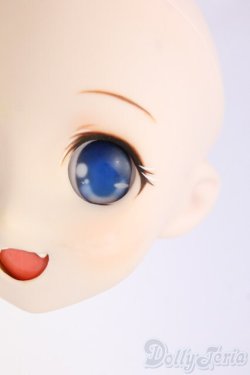 画像4: DD/DDH-04:カスタムヘッド/BJD　球体関節人形 I-26-01-11-191-KD-ZI