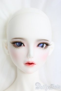 画像1: LUTS/Senior65 Delf Girl SHELL/BJD　球体関節人形 I-26-01-11-295-KD-ZI