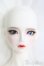 画像1: LUTS/Senior65 Delf Girl SHELL/BJD　球体関節人形 I-26-01-11-295-KD-ZI (1)