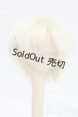 6inch/ウィッグ/インチ　BJD　MJD　ドール用 I-26-01-25-024-KD-ZI