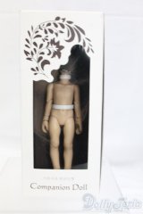 1/12ドール/ボディ/ I-26-01-25-056-KD-ZI