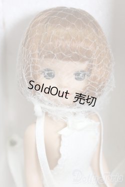 画像1: tiny betsy/Christmas Trunk Set/ I-26-01-25-154-KD-ZI