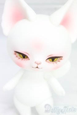画像1: DOLK x DEARMINE/PICASSO bean cool ver. I-26-01-25-253-KD-ZI