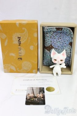 画像6: DOLK x DEARMINE/PICASSO bean cool ver. I-26-01-25-253-KD-ZI