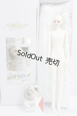 画像6: LUTS/Senior Delf Muse KAI I-26-01-25-251-KD-ZI