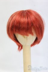 6inch/ウィッグ I-26-01-25-241-KD-ZI