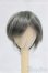 画像1: 6inch/ウィッグ I-26-01-25-240-KD-ZI (1)