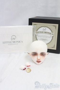 画像6: LITTLE MONICA/Gloomy Vampire　Enrill I-26-02-01-256-KD-ZI