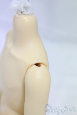 画像3: MSD男の子/ボディ I-26-02-01-272-KD-ZI