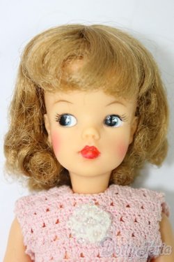 画像1: タミーちゃん/本体(BS-12) I-26-02-01-158-KD-ZI