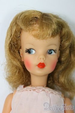 画像1: タミーちゃん/本体(BS-12) I-26-02-01-157-KD-ZI